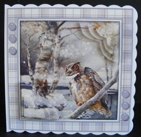 Wise Old Owl Card Topper 1 by Diana Holmes