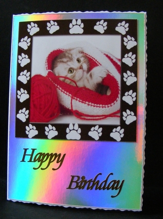 Hide and Seek Kitten Birthday/ Get Well Soon Card Featured Gallery Photo