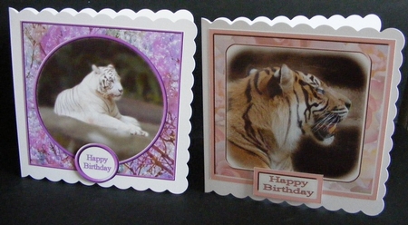 White & Siberian Tiger Toppers by Diana Holmes
