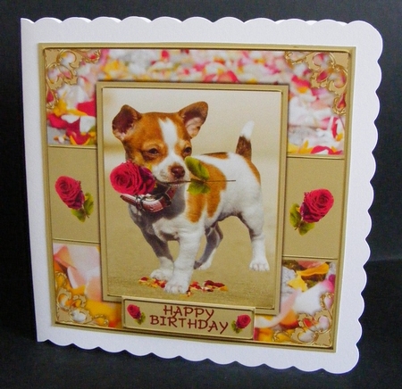 Cute Puppy With Rose by Diana Holmes