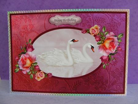 Swans in Rose Frame A4 by Diana Holmes