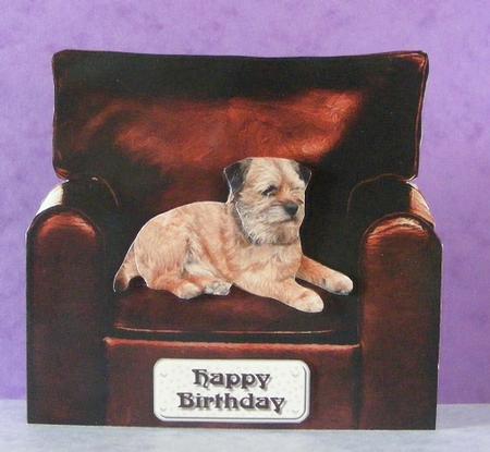 Border Terrier in an Armchair by Diana Holmes