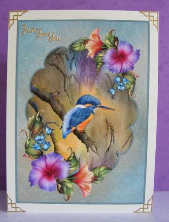 Kingfisher & Hibiscus by Diana Holmes