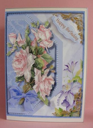 Beautiful Roses in a Envelope Frame  by Diana Holmes