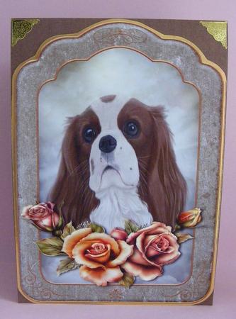 Pet Sympathy A5 Topper and Insert with Verse by Diana Holmes
