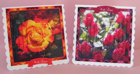 A Rose for All Occassions Watercolour Bumper Kit by Diana Holmes