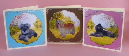 Dogs, Cockerspaniel, Poodle, Schnauzer by Diana Holmes