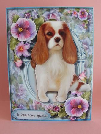 Beautiful King Charles Spaniel with Pansy's  by Diana Holmes
