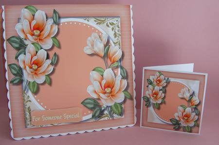 Beautiful Orange Magnolias  by Diana Holmes