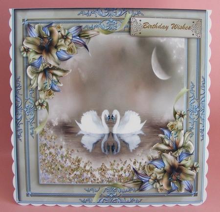 Beautiful Swansong  by Diana Holmes