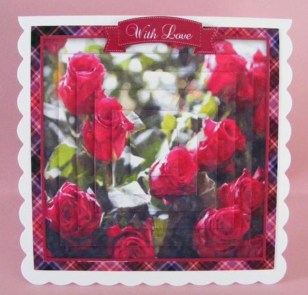 Plaid - Matching Pretty Rose Watercolour Pyramid Topper by Diana Holmes
