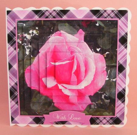 Plaid - Matching Pretty Rose Watercolour Pyramid Topper by Diana Holmes