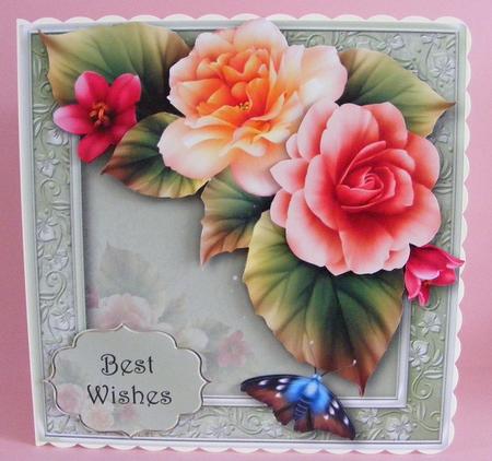 Beautiful Peach Begonias by Diana Holmes