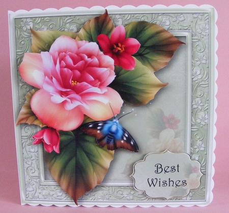 Beautiful Pink Begonia by Diana Holmes