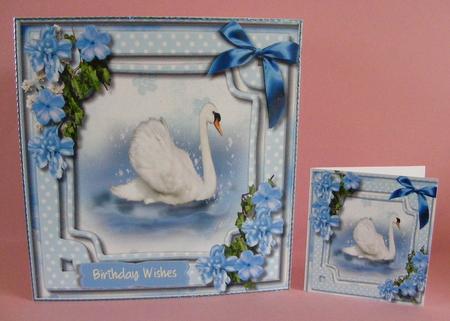 Beautiful Swan on the Water  by Diana Holmes