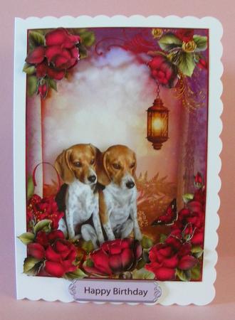 Red Rose Front by Diana Holmes