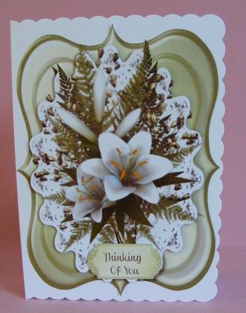 Birthday, Get Well Soon, Sympathy by Diana Holmes