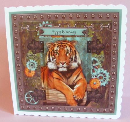 Let's Roar by Diana Holmes