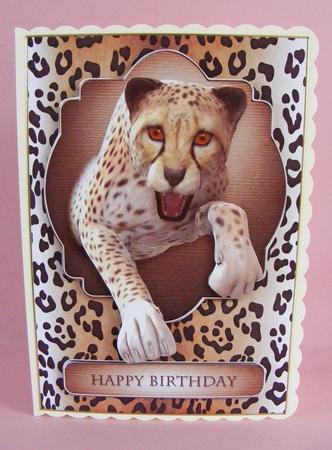 Cheetah A5 Birthday Topper by Diana Holmes