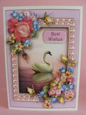 Serene Swan with Summer Flowers by Diana Holmes