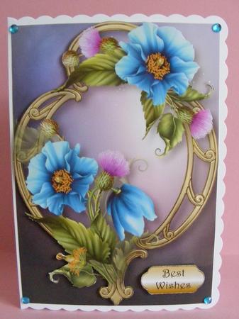 Beautiful Himalayan Blue Poppies on Golden Frame by Diana Holmes