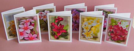 Plumeria (frangipani) Tags / Mini-cards by Diana Holmes