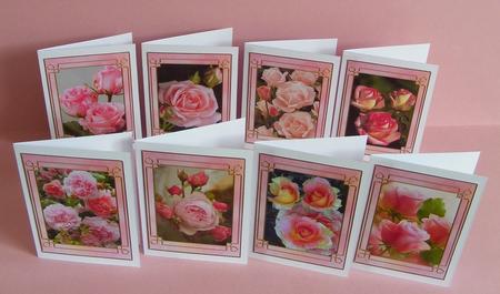 Flower Series: Pink Roses by Diana Holmes