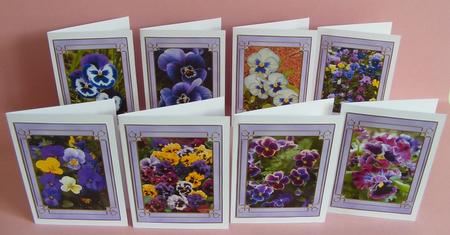 Flower Series: Pansies by Diana Holmes