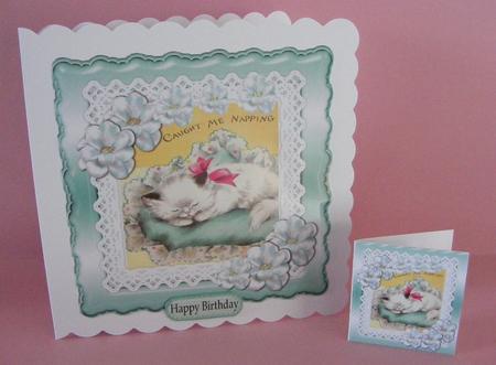 Caught Napping Cute Kitten on a Cushion 8x8 by Diana Holmes
