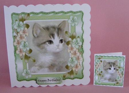 Cute Little Grey Kitten with Flowers 8x8 by Diana Holmes