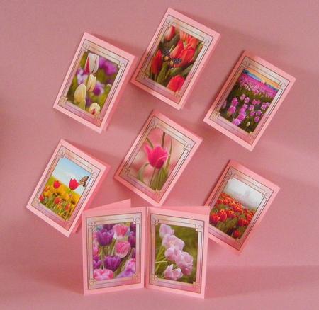 Flower Series: Tulips by Diana Holmes
