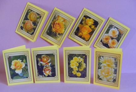 Flower Series: Yellow Roses by Diana Holmes