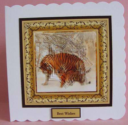 Tigers Playing Approx 6x6 Card with Shaped Layers by Diana Holmes