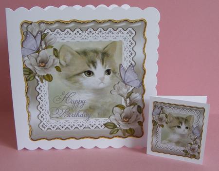 Pretty Grey Kitten with Magnolias on Lace 8x8 by Diana Holmes