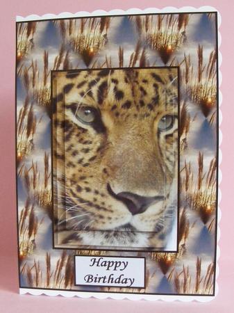 The Big Cat by Diana Holmes