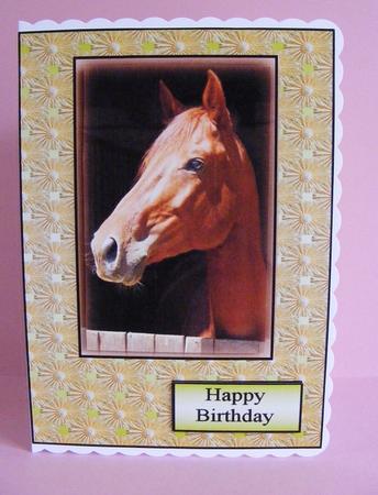 Horse Lover by Diana Holmes