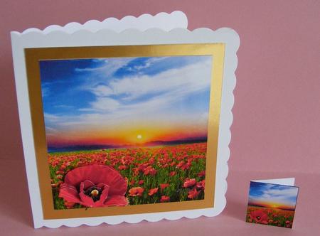 Simply Poppies - Red Poppy Field Decoupage & Matching Tag by Diana Holmes