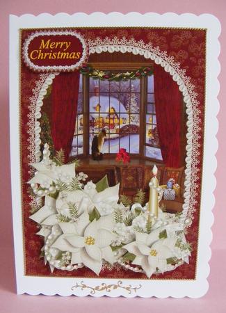 White Poinsettia by Diana Holmes