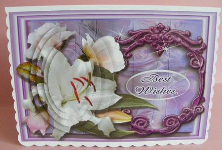 Lily Greetings by Diana Holmes