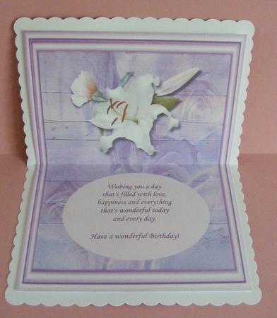Lily Insert by Diana Holmes