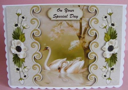 Bordered Swans by Diana Holmes