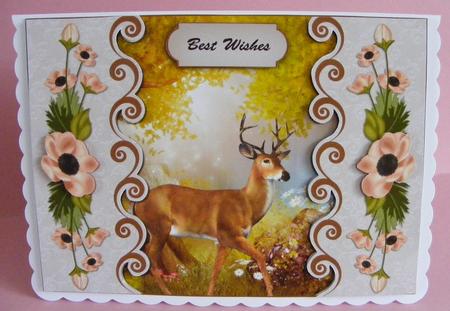 Bordered Woodlands by Diana Holmes