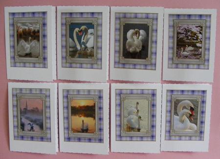 Swan Song Tags by Diana Holmes