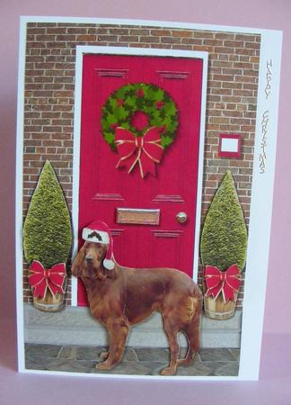 Irish Red Setter Christmas Door Step by Diana Holmes