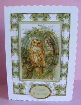 Tawny Owl Backing Sheet by Diana Holmes