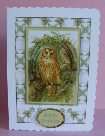 Tawny Owl Backing Sheet 1 by Diana Holmes