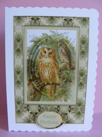 Tawny Owl Backing Sheet 3 by Diana Holmes