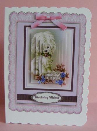 Lovely Little Pup in Pink  by Diana Holmes