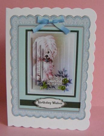 Lovely Little Pup in Aqua by Diana Holmes