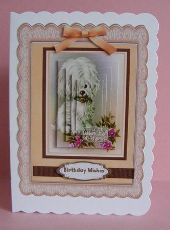 Lovely Little Pup in Peach  by Diana Holmes